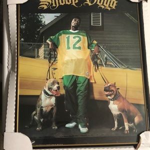 Snoop Dog Wall Picture framed